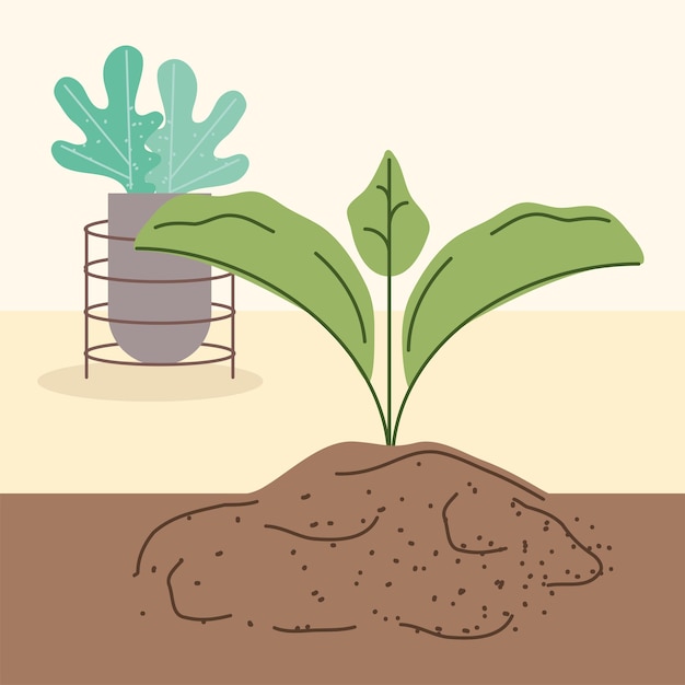 Vector planting sprout and houseplant