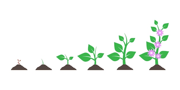 Vector planting tree seedling gardening plant seeds sprout in ground isolated on white background vector illustration