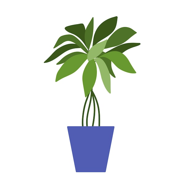 Plantinpot