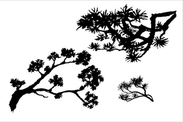 アジアの植物は竹と松です。インクで描かれた木の枝。