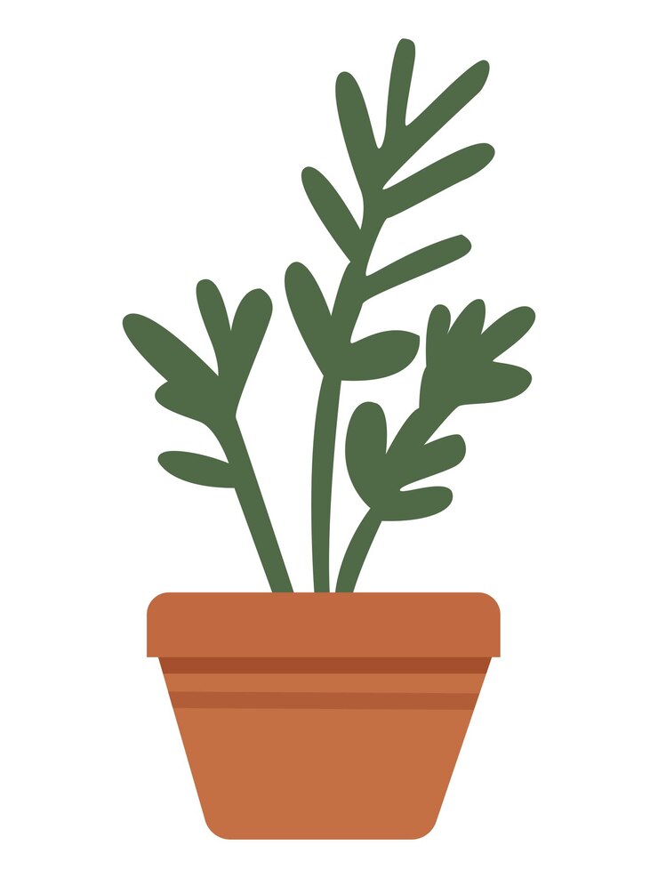 茶色のポットの植物