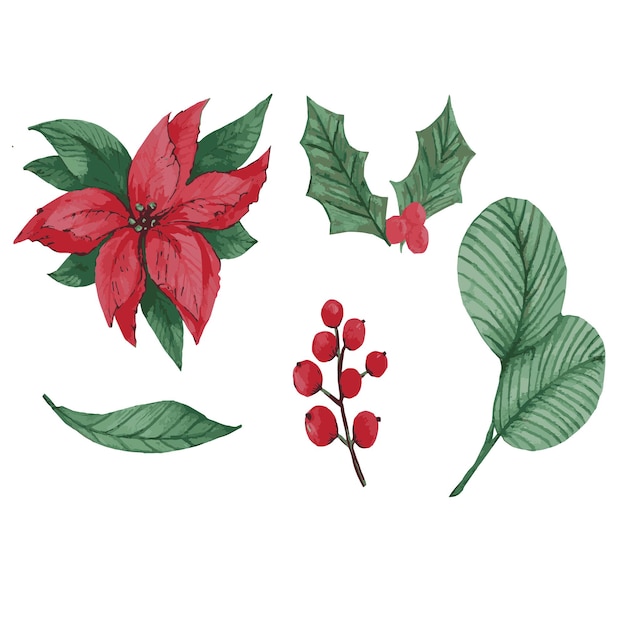 Plants Christmas decorations holly poinsettia watercolor mini set