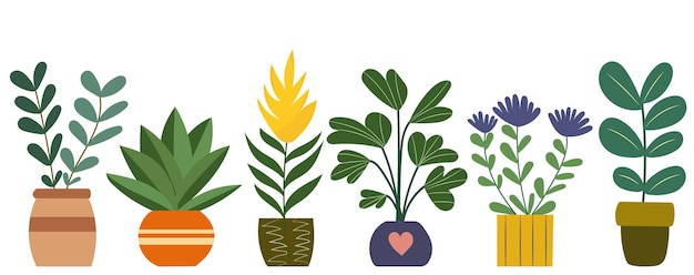 Vector plants in flowerpots in flat style on a white background vector