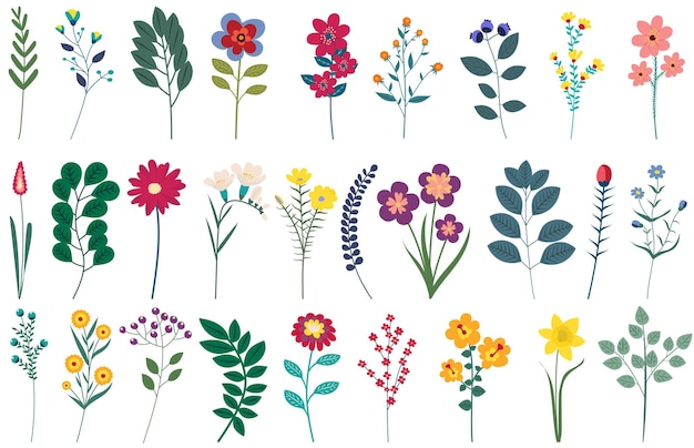 Plants flowers set flat design isolated