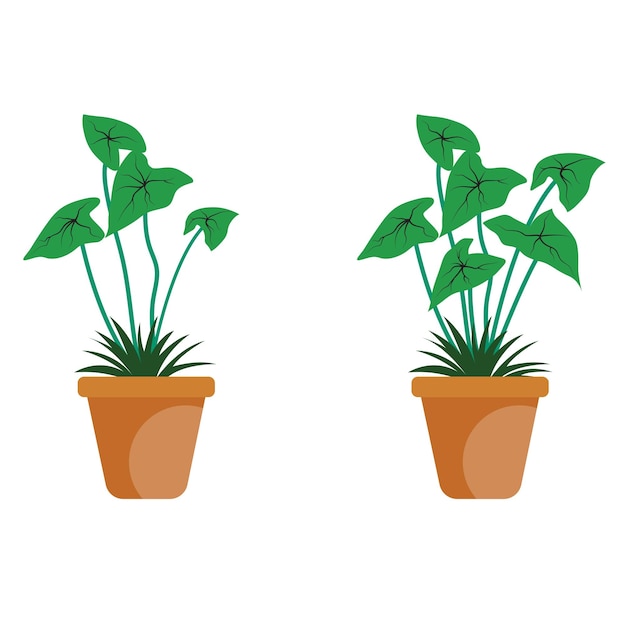 植物と花 Svg