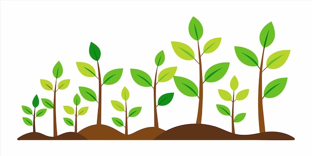 Vector plants for the garden wallpapers for the free download