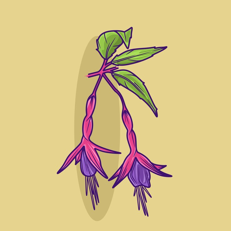 Vector plants and gardens