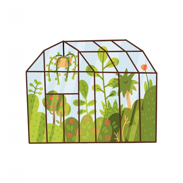 Plants growing inside glass greenhouse. glasshouse or botanical garden. concept of home gardening. modern flat   illustration.