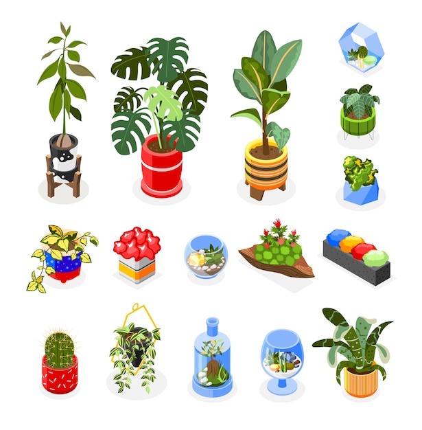 Vector plants isometric icons set with houseplants and hanging decoration isometric isolated vector illustration