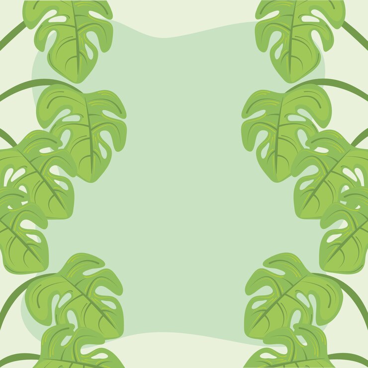 Vector 植物の葉モンステラ装飾緑の背景