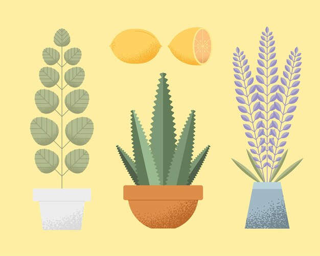 Plants and lemon fruit set icons