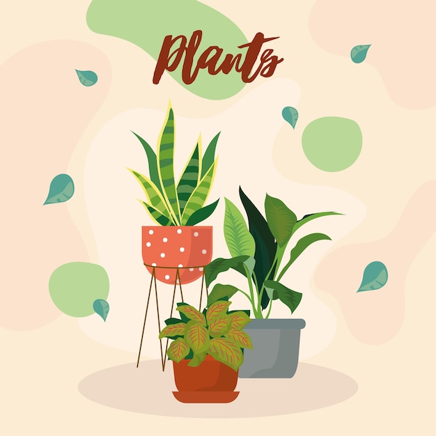 Plants lettering card