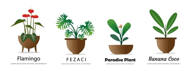 Plants nature vector set bundle