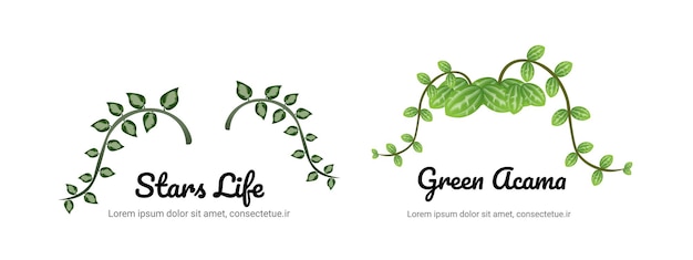 plants nature vector set bundle