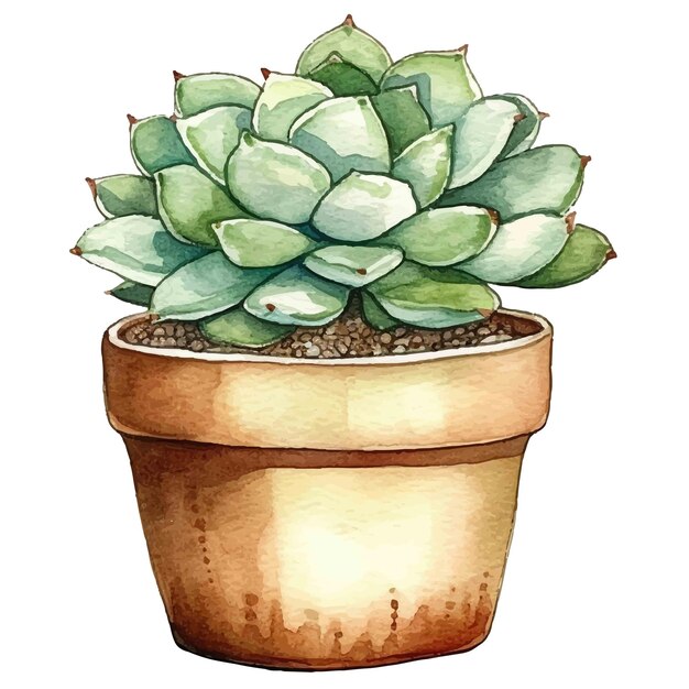 plants in pot watercolor illustration