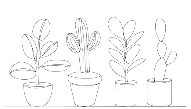 Plants in pots continuous line drawing vector