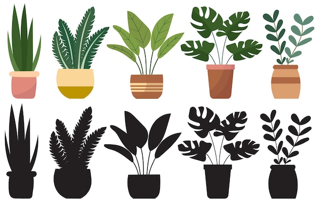 Plants in pots set on a white background in a flat style isolated vector
