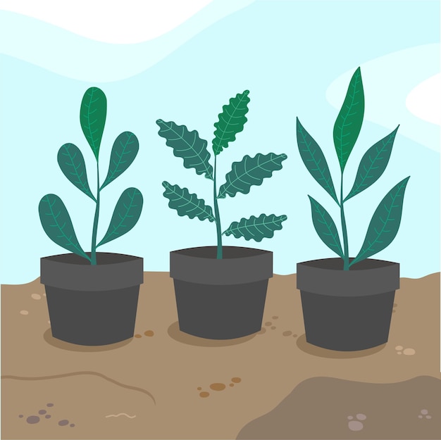 Plants in Pots Vector Design