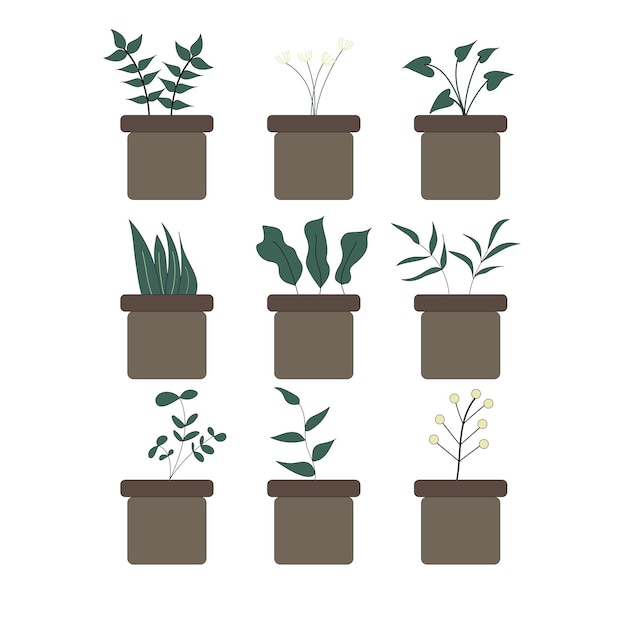 Plants Set Bundle