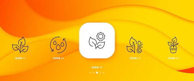 식물 설정 아이콘 잎 잎 원형 화살표 물방울 꽃 해바라기 온도계 온도 냄비 정원 작물 채식주의 자연 개념 5 단계 벡터 라인 아이콘 인포 그래픽 타임 라인 아이콘