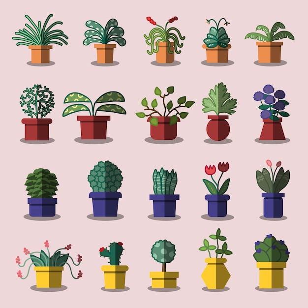 Plants set