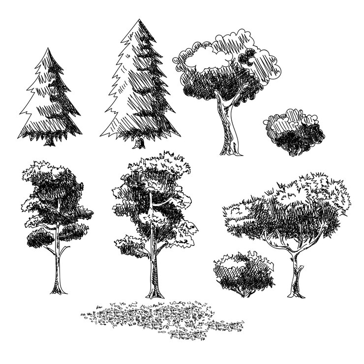 Vector plants sketch set