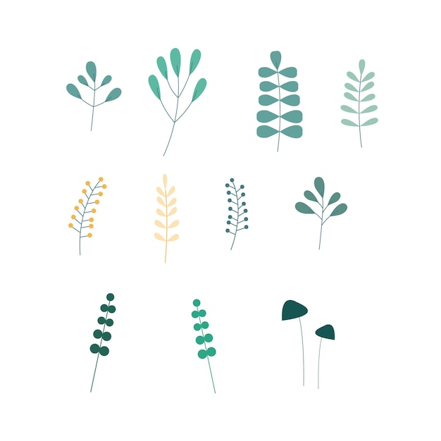 식물, 나무, 잎