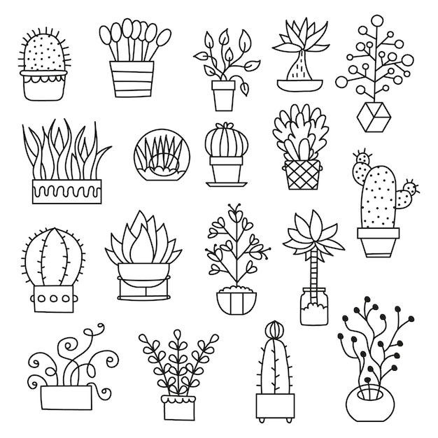 Plants vector illustration