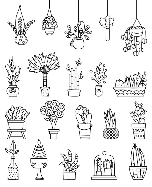 Vector plants vector illustration