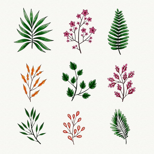 Vector plants watercolor