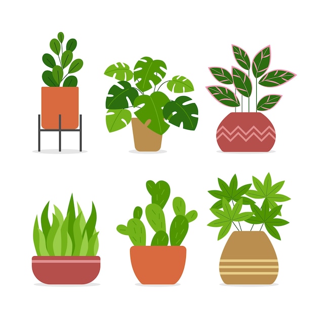 Vector plants