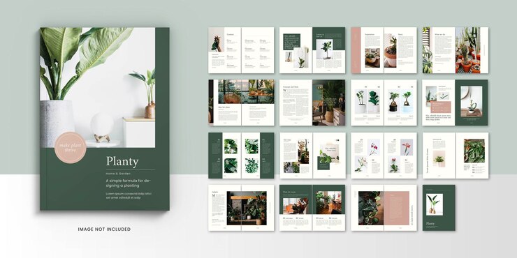 Planty magazine