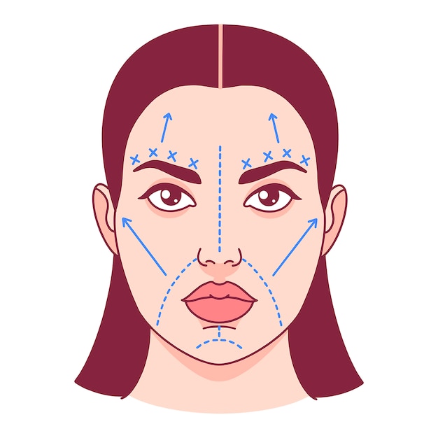 Vector plastische chirurgie, snijlijnen op een vrouwelijk gezicht. vector illustratie