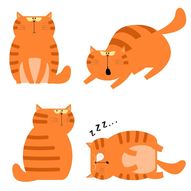 Vector platte illustratie kat oranje