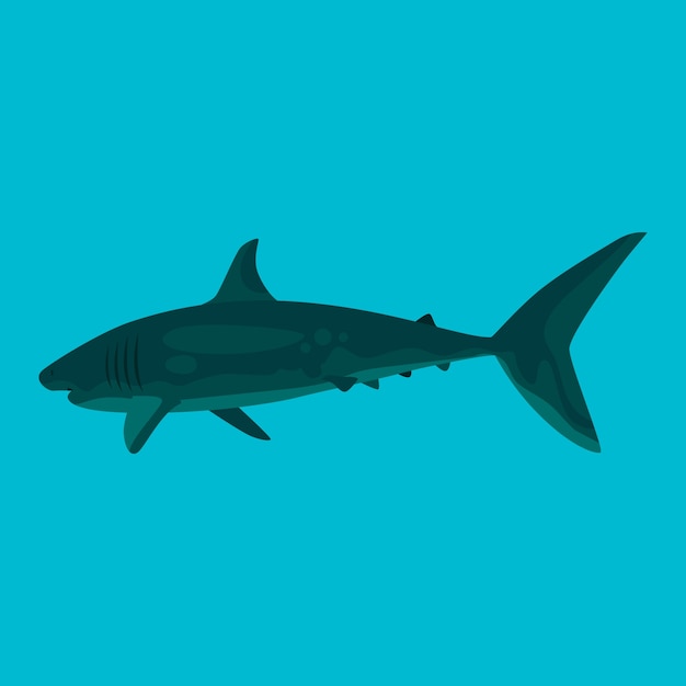 Platte ontwerp haai illustratie