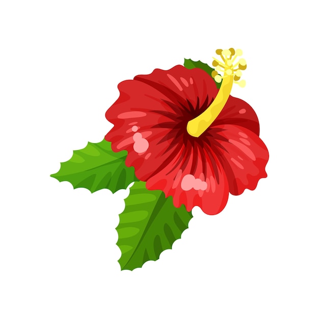 Platte vector icoon van hibiscus met felrode bloemblaadjes en groene bladeren Mooie bloeiende bloem uit tropische tuin