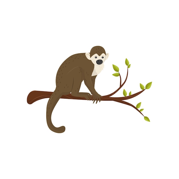 Platte vector icoon van kleine aap zittend op een boomtak met groene bladeren wild dier uit tropisch bos