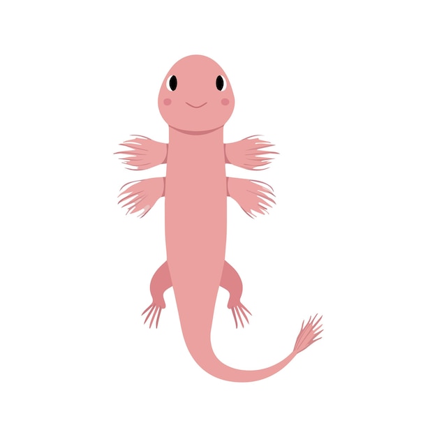 Platte vectorillustratie van een Axolotl met roze lichaam gevederde kieuwen eenvoudig ontwerp langwerpige vorm schone esthetische minimale stijl