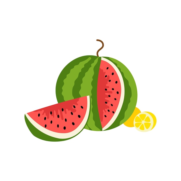 Platte vectorillustratie van watermeloen en plakjes op een witte achtergrond