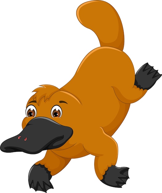 platypus