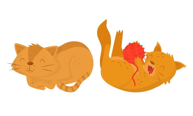 Vector playful cat lying and playing with ball of yarn vector set