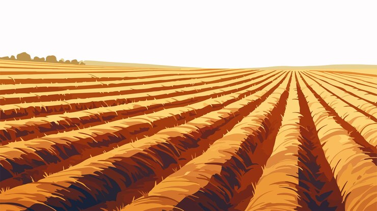 Vector plowed agricultural field with even rows and tractor tracks