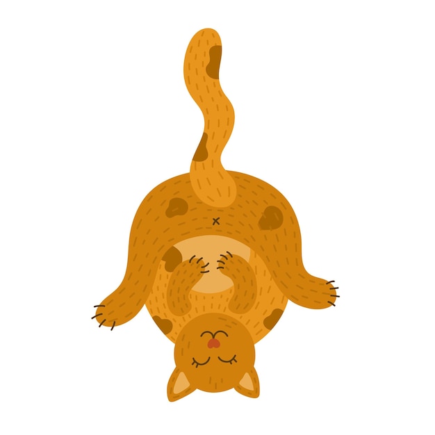 Pluizige slaperige kat die ondersteboven rust en geniet van het leven. Schattig poesje karakter liggend in grappige pose. Kawaii lui katje is perfect voor print stickers tshirts Hand getekende vector illustratie