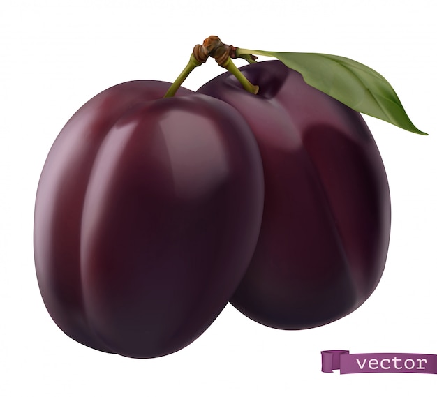 Vector plum, 3d realistic