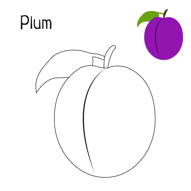 Plum coloring page