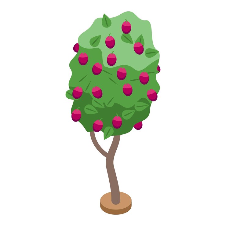 Vector plum fruit tree icon isometric of plum fruit tree vector icon for web design isolated on white background