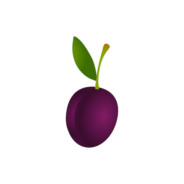 Plum illustration drawn vector plum on a white background