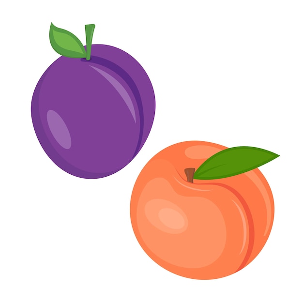 Plum and peach