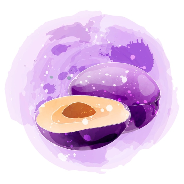 Plum watercolor clipart illustration with purple background