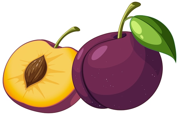 Vector plum in whole and half piece